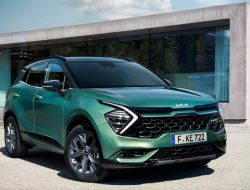 Три гибрида и короткая колесная база: Kia показала новый Sportage для Европы