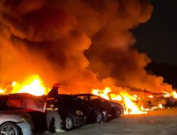 Видео: 40 подержанных автомобилей сгорели дотла из-за удара молнии