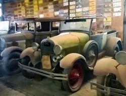Видео: крупнейшая коллекция 100-летних Ford из заброшенного сарая