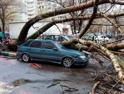 Штормовой ветер создал проблемы водителям в Москве. Фото и видео