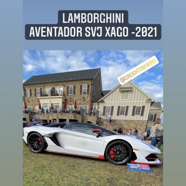 
            Ferrari, McLaren и другие культовые машины на выставке Creighton Farms
        