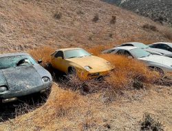 В Калифорнии нашли кладбище автомобилей Porsche. Фото