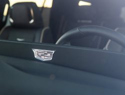 Chevrolet и Cadillac бьют рекорды продаж на падающем российском рынке