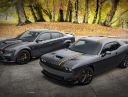 Dodge Charger и Challenger обзавелись новыми стайлинг-пакетами