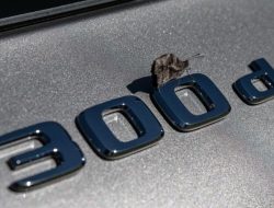 Mercedes-Benz изменил систему полного привода на базовых GLE