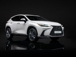 Объявлены комплектации нового Lexus NX для России