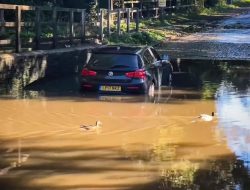 Видео: водители топят автомобили в глубокой луже на полной скорости