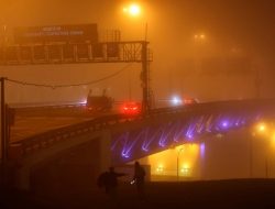В ГИБДД рассказали, как ездить в сильный туман. Список рекомендаций