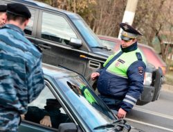 Архивные номера: водители нашли хитрую лазейку, чтобы ездить без штрафов