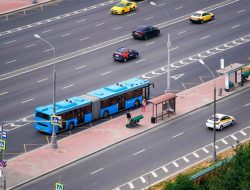 В Москве откроют новые выделенные полосы. Названы адреса