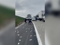 Трассу в США засыпало долларами. Видео