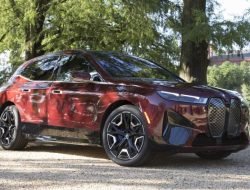 Электрокары BMW будут заряжать электричеством из навоза