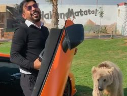 Медведь оторвал дверь у Lamborghini арабского шейха. Видео