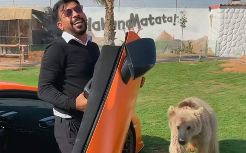 
            Медведь оторвал дверь у Lamborghini арабского шейха. Видео
        