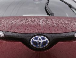 Greenpeace назвал Toyota самым неэкологичным автопроизводителем