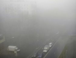 Из-за тумана московские дорожные камеры «не замечают» нарушений ПДД