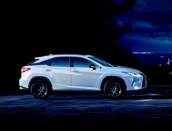 Кроссовер Lexus RX обзавелся двумя новыми версиями