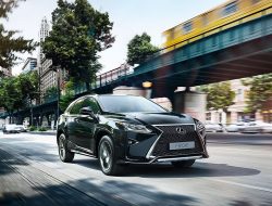 Lexus RX и другие самые популярные автомобили премиум-класса в России