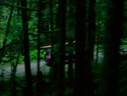 Mazda показала на видео новый кроссовер CX-50