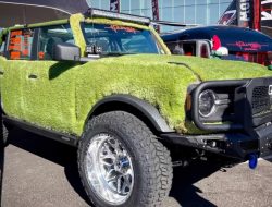 Посмотрите на Ford Bronco, полностью покрытый настоящим мхом