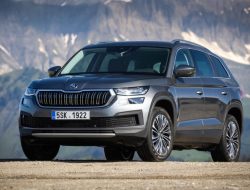 Стало известно, когда обновленный Skoda Kodiaq начнут собирать в России