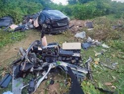 Tesla слетела со скалы и превратилась в металлолом. Но водитель не пострадал