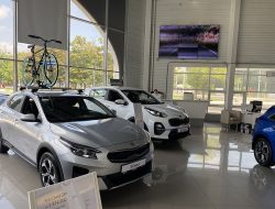 Уроки жадности: почему россияне отвернулись от Kia, полюбив Haval