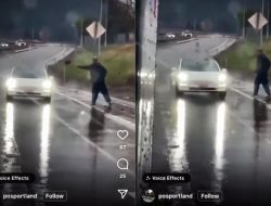 Видео: стекло Tesla Model 3 защитило водителя от тяжелого камня