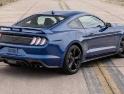 Водитель Ford Mustang обстрелял Chevrolet Corvette за отказ от уличных гонок