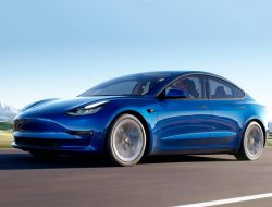 Tesla Model 3 может стать самым популярным электрокаром Европы 2021 года