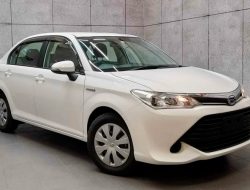 В России стали чаще покупать праворульные авто. Топ-10 популярных моделей