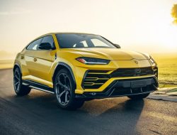 Бизнесмена, купившего Lamborghini на госпомощь, посадили на девять лет