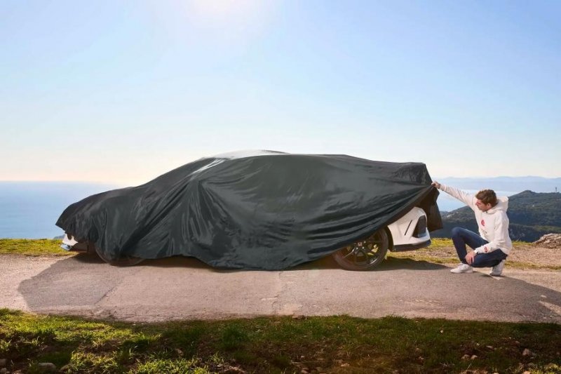 Чемпион Формулы-1 пустит с молотка свой Honda Civic Type R