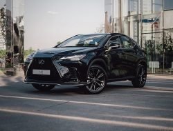 Чуть дешевле, чем RX: Lexus раскрыл цены нового кроссовера NX