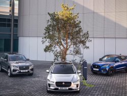 Jaguar хочет поставить на паузу разработку новых автомобилей, и вот почему