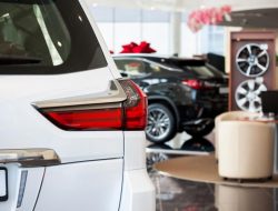 Какие автомобили подорожали в декабре кроме Lada?