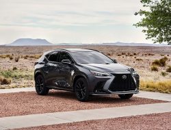 Lexus NX признан самым надежным и неубиваемым кроссовером