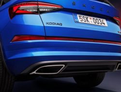 Российский дилер Skoda продает новый Kodiaq с велосипедом за 100 тысяч рублей