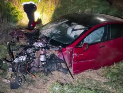 Tesla Model S сорвалась в 10-метровую пропасть. У пассажиров ни единой царапины