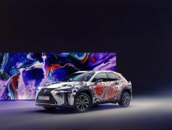 Urban Explorer: в компании Lexus объяснили причины успеха маленьких кроссоверов