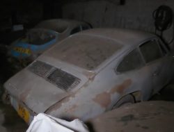 В чаще леса обнаружили заброшенную коллекцию классических автомобилей