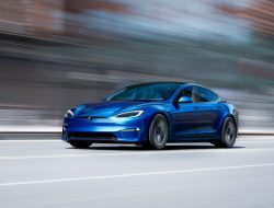 Владельцы Tesla пожаловались Маску на сложности с электрокарами в России