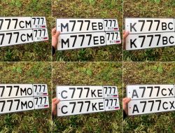 Какую пользу приносят «красивые» номера. Эксперты объяснили