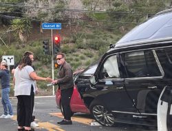 Арнольд Шварценеггер попал в аварию. Все подробности