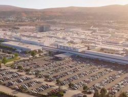 Роботы-гуманоиды заменят людей на заводах Tesla