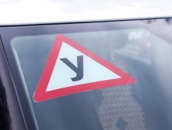ГИБДД начнет проверять списки учащихся автошкол