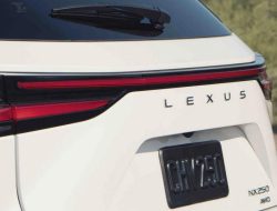 Lexus лишит все новые модели заднего логотипа