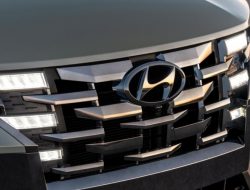 Представительство Hyundai осудило поведение российских дилеров