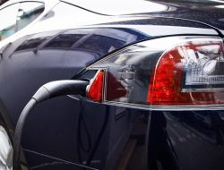 Tesla приостановила разработку бюджетного электромобиля