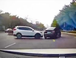 Видео: Tesla Model Y прошла «лосиный тест» в реальной жизни на скорости 100 км/ч